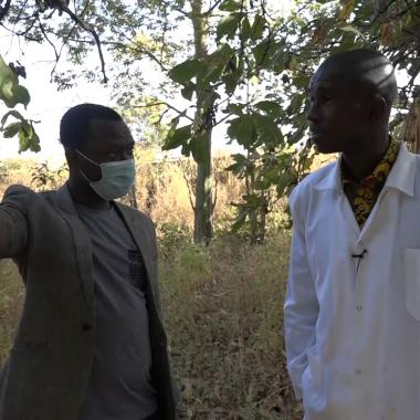 See video of The pharmacist who treats malaria