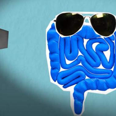 Voir la vidéo de Le microbiote, un deuxième cerveau… vraiment ?