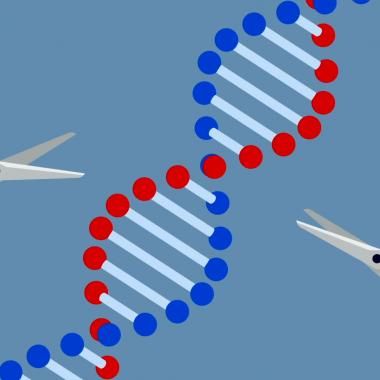 See video of Crispr-Cas9: finally a tool for treating rare diseases? 