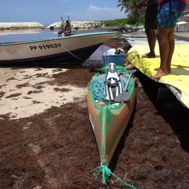 See video of How Guadeloupe is coping with invasive seaweed