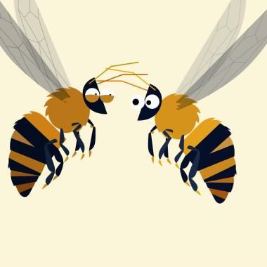See video of L’abeille, la zumba de l’eldorado