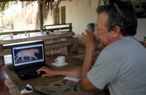 En Colombie, un éleveur de bétail a choisi de cohabiter avec les jaguars