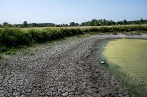 En France, une sécheresse inédite en juillet
