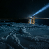 La vie marine perturbée par la lumière artificielle durant la nuit polaire