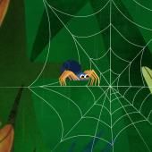 Voir la vidéo de La toile d’araignée