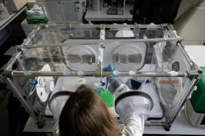Dengue, grippe, rage… l’Institut Pasteur mobilisé en vue des JO