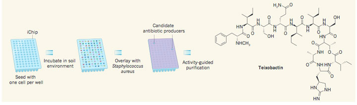 Methode qui a permis de trouver le Teixobactin