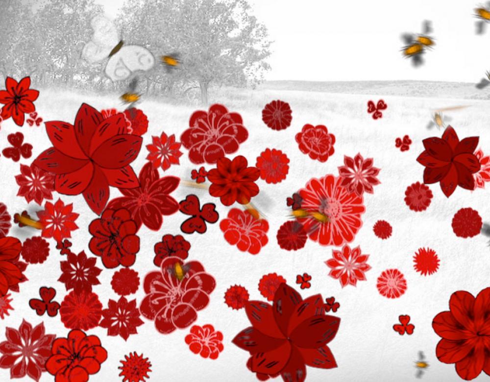 illustration_abc_biodiversite