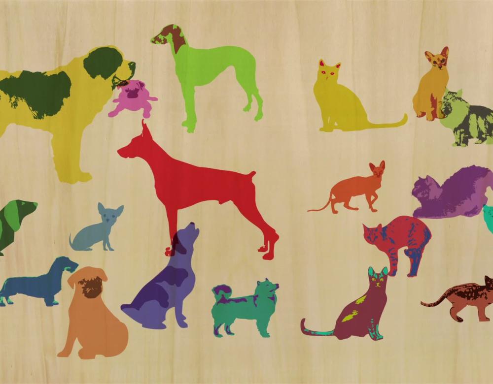 Chiens & chats, l'expo