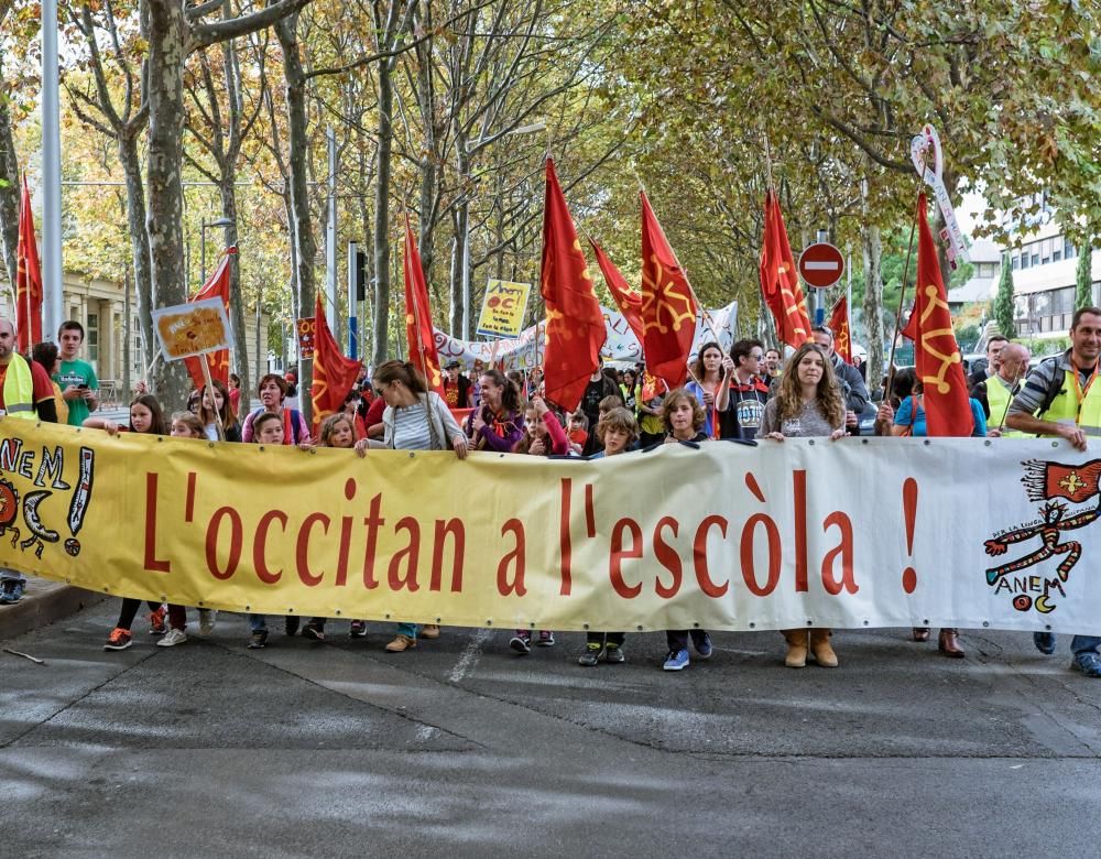 occitan manifestation