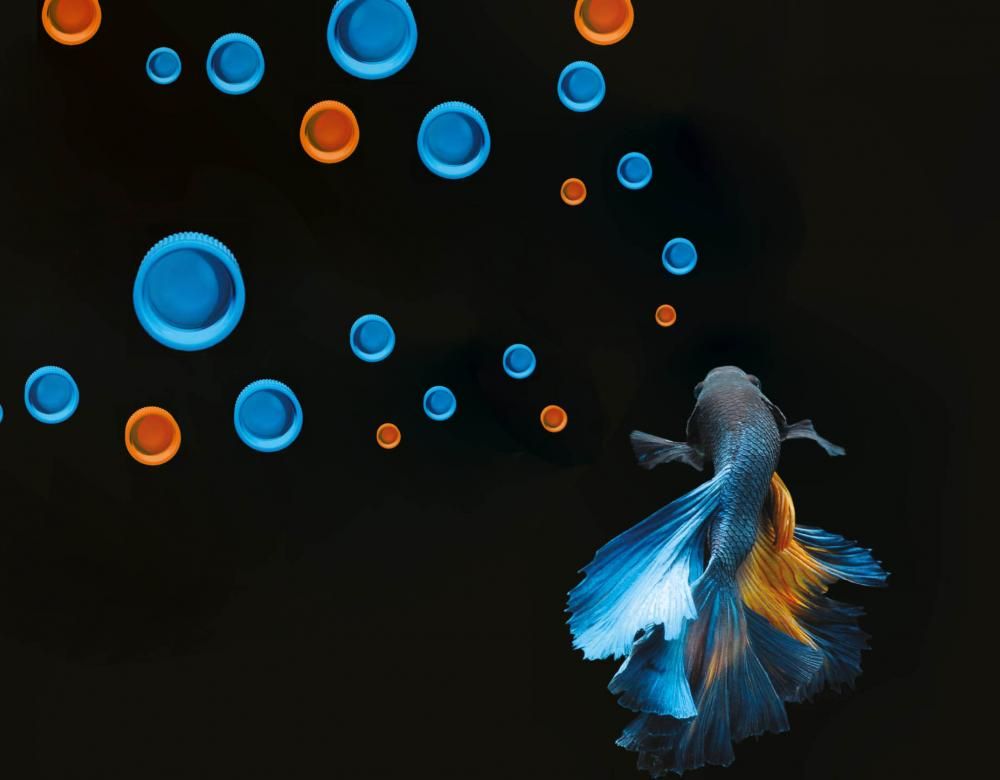 illustration