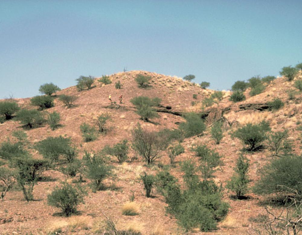 Image légendée