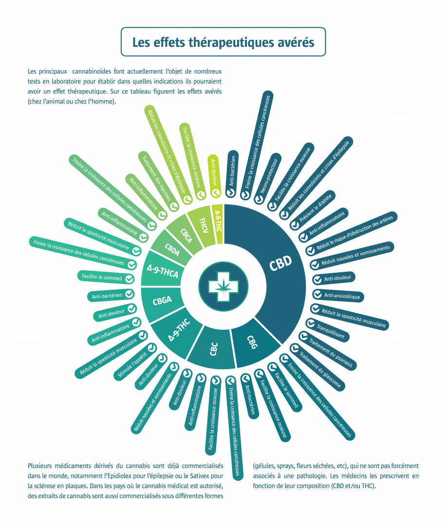 schema des effets therapeutiques avérés