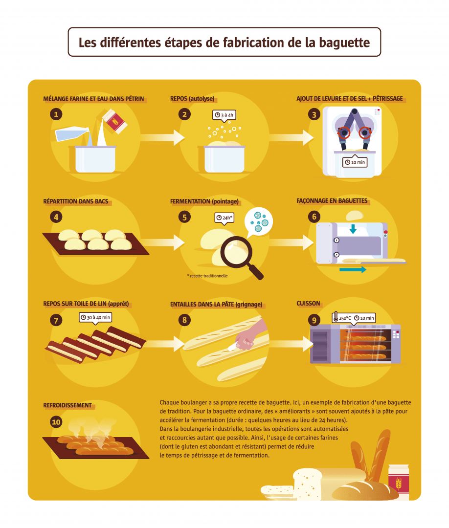 Infographie sur la fabrication d'une baguette