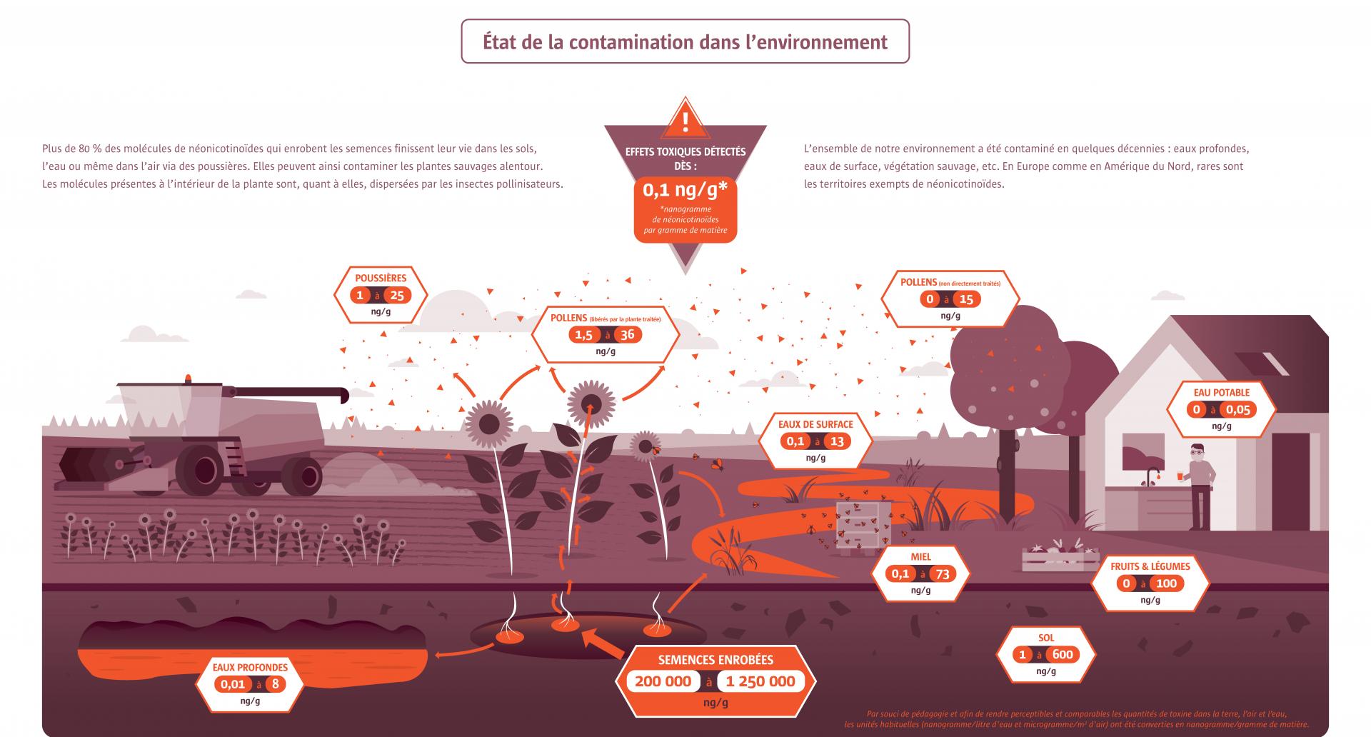 contamination environnement neonicotinoide