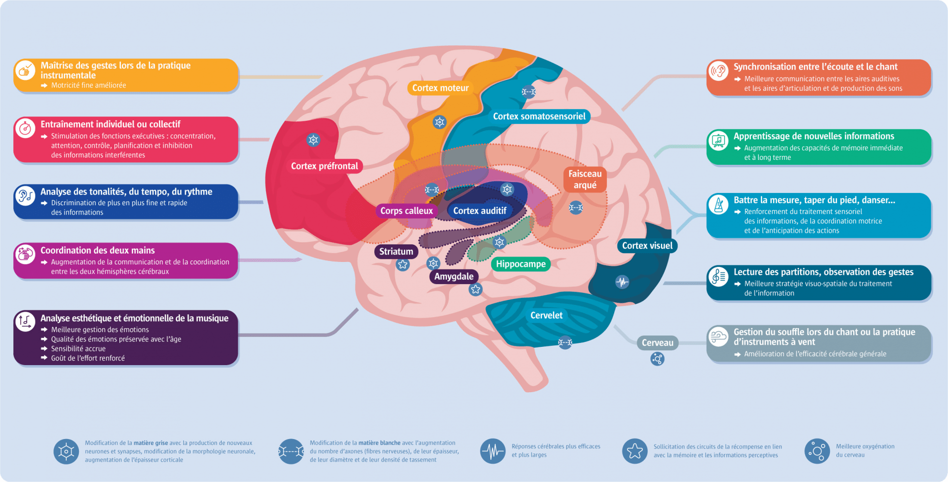 Musique et cerveau  l’accord parfait – MéloDys