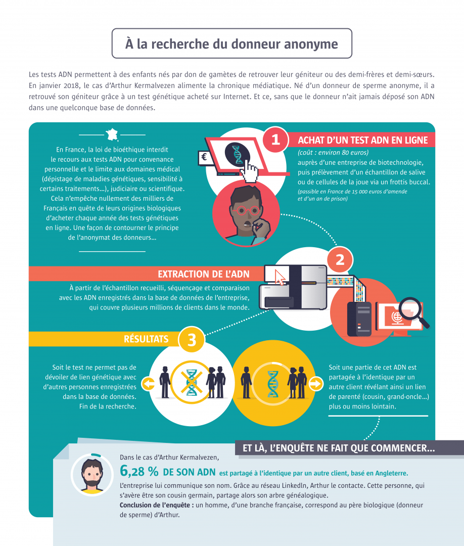 infographie
