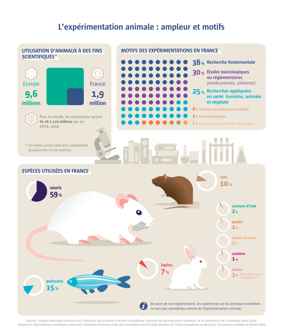 infographie