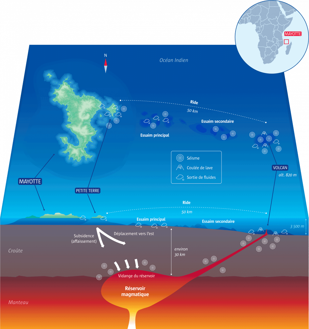 infographie