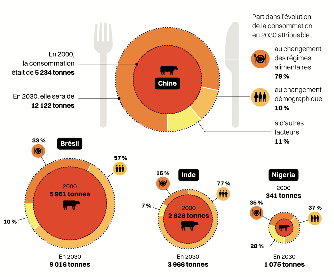 Infographie boeuf