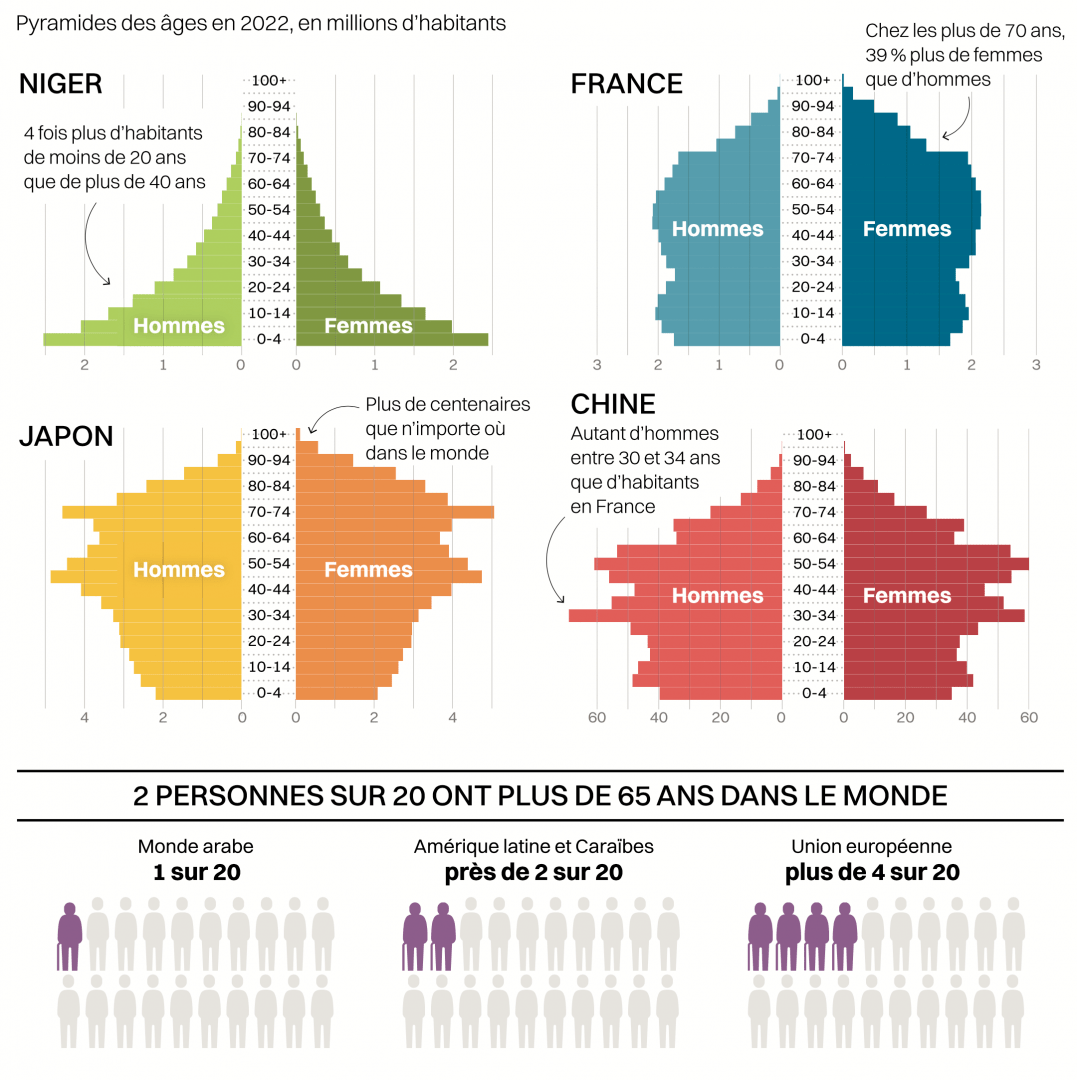 Infographie pyramide des âges