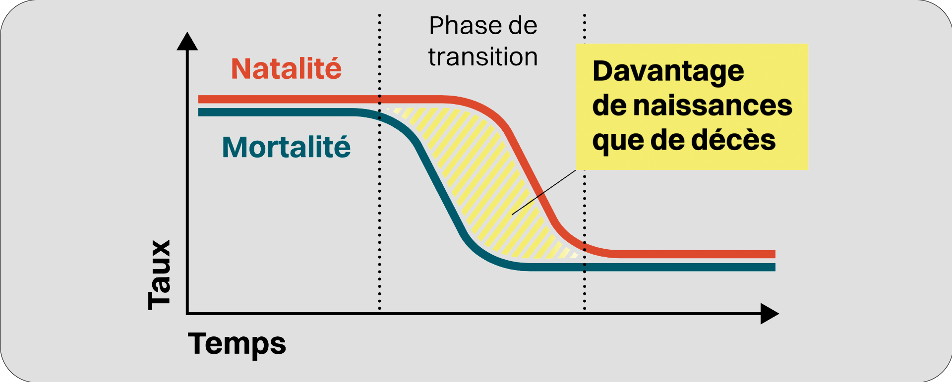 transition démographique