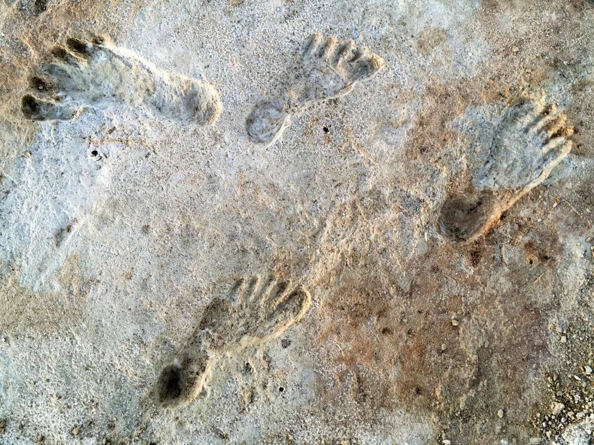 À qui appartiennent ces empreintes de pieds vieilles de 300 000 ans ?