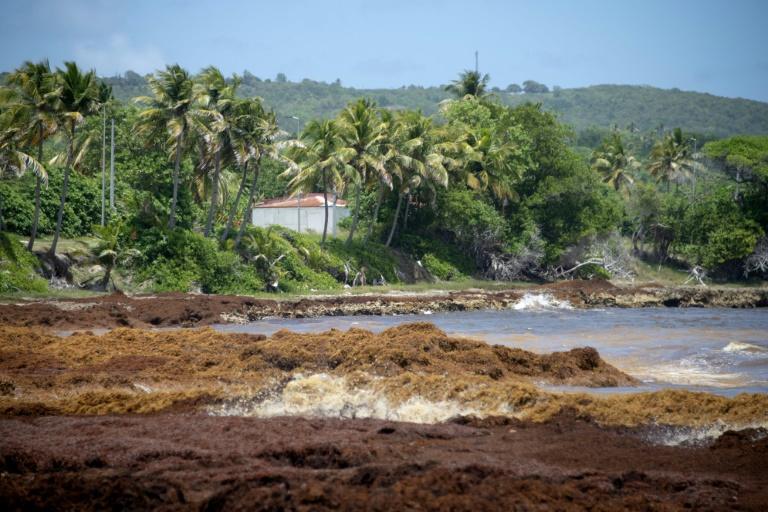 Image légendée
