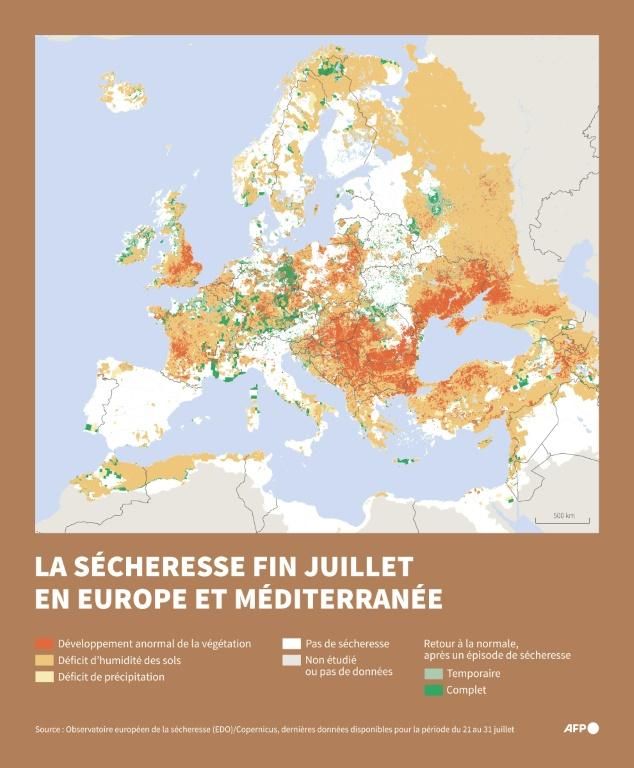 Image légendée