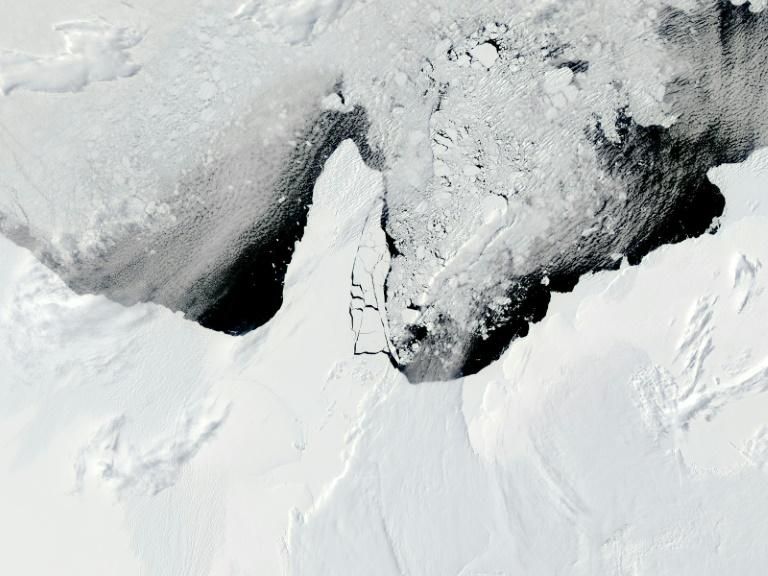 Image légendée