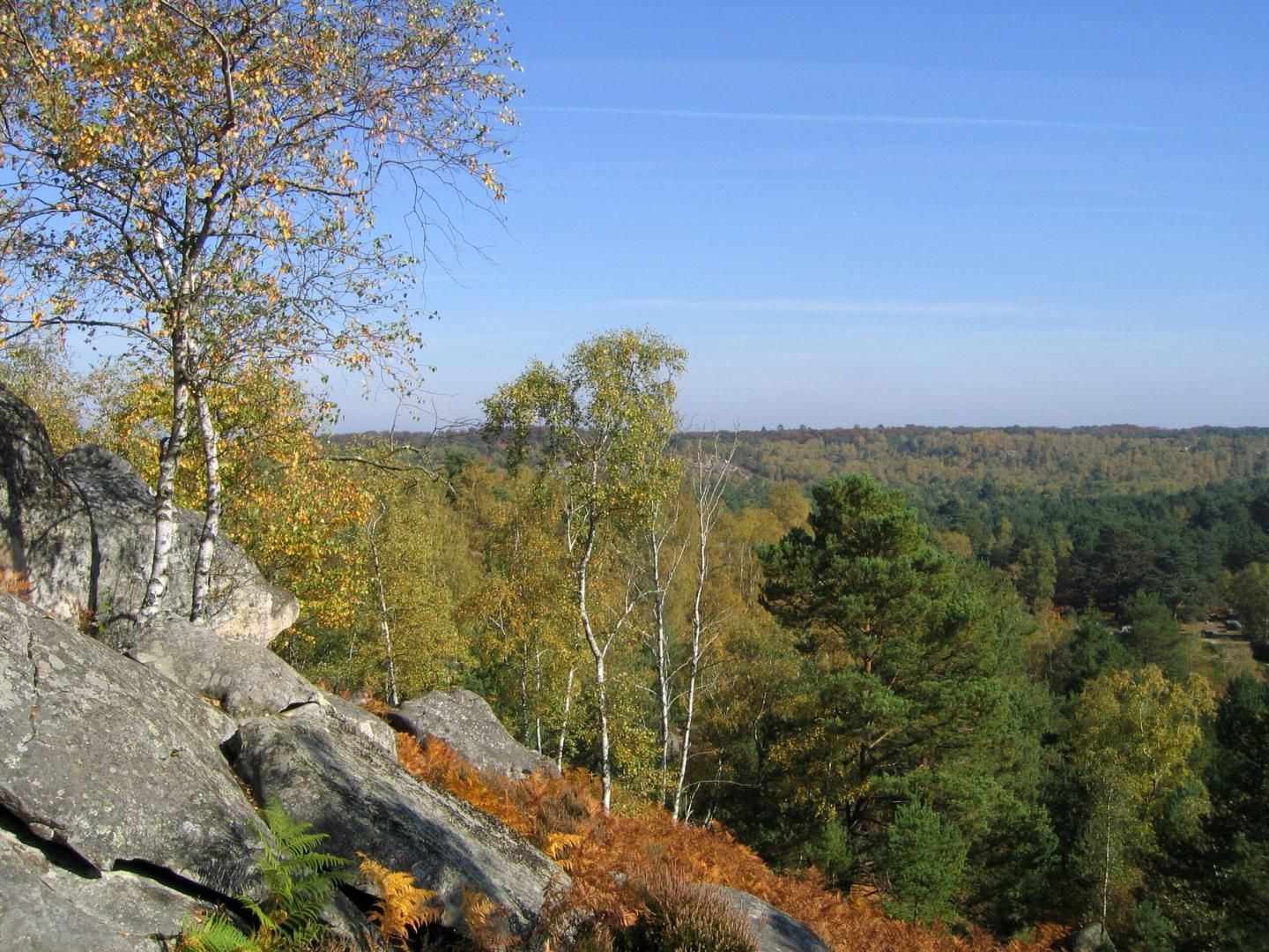 Image légendée