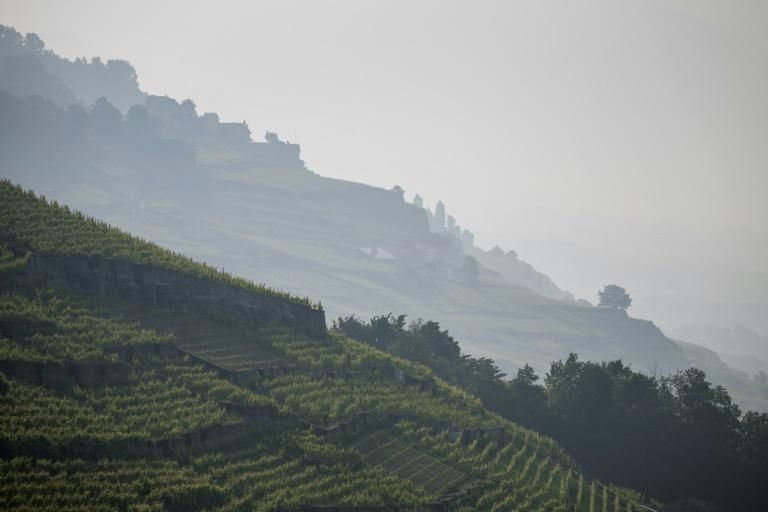 Image légendée