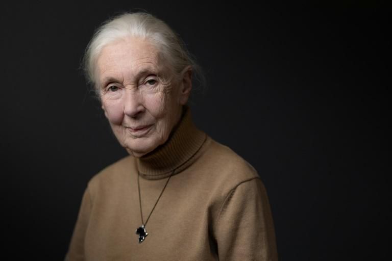 Image légendée