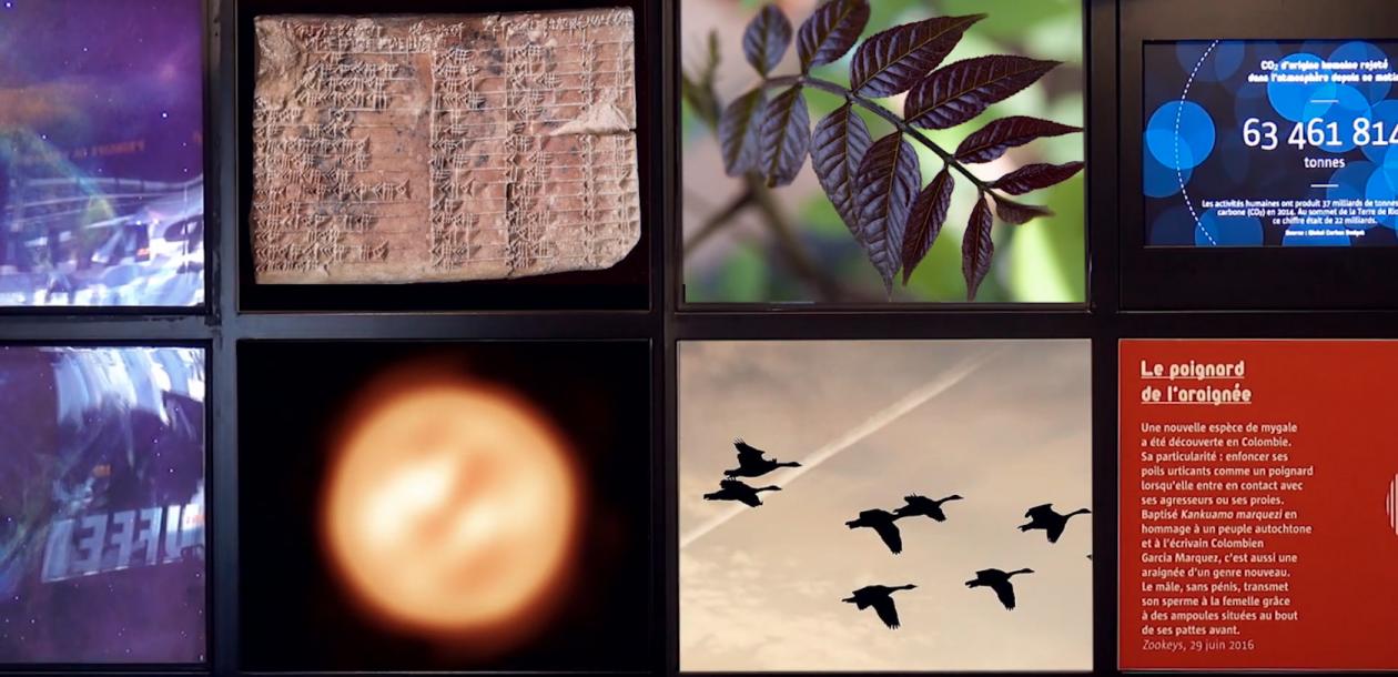 Journal des sciences Le blob l extra média