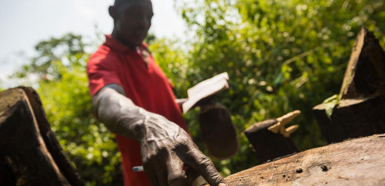 Vers Une Exploitation Durable Des Forêts Du Congo ? | Le Blob, L'extra ...