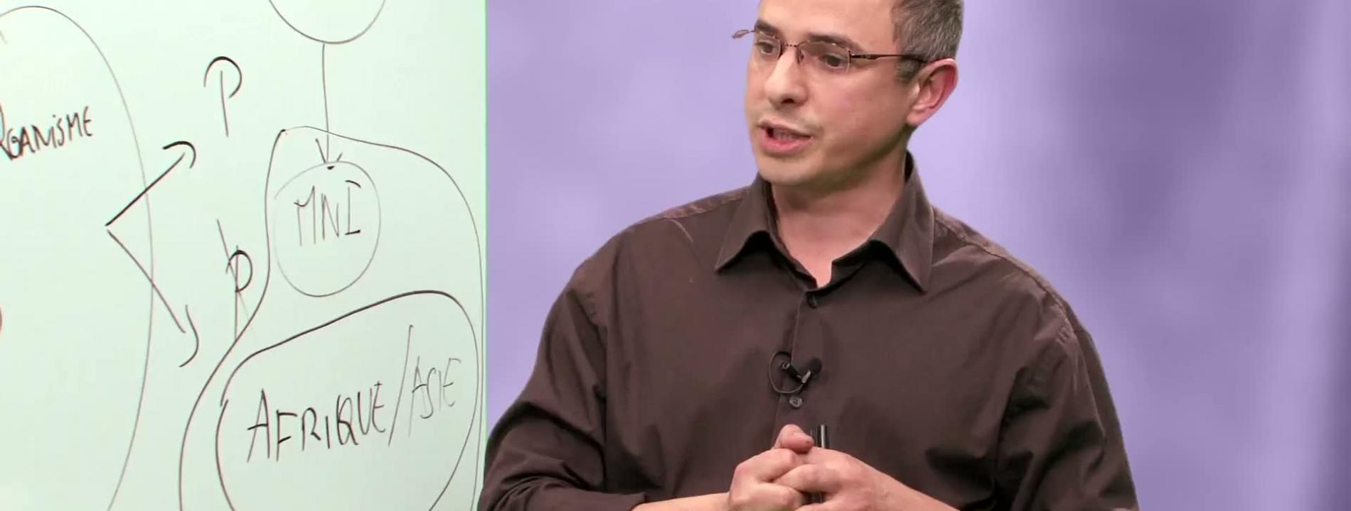 Ali Saïb, au tableau !