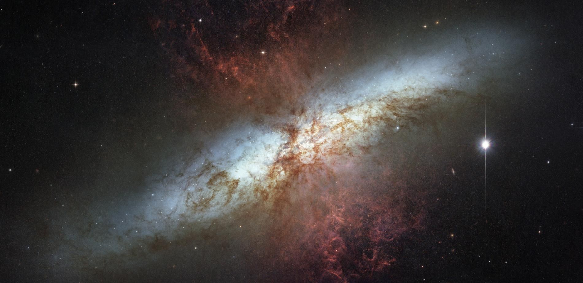 amas M82