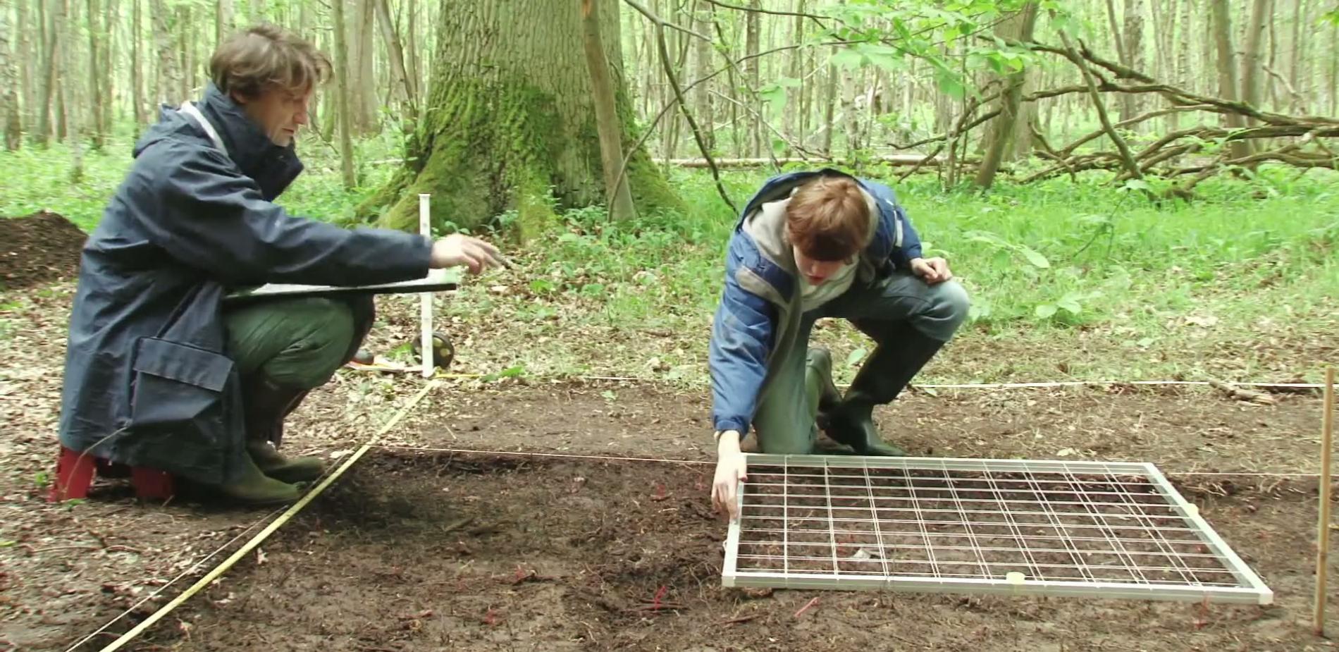 #13 - Petits carreaux