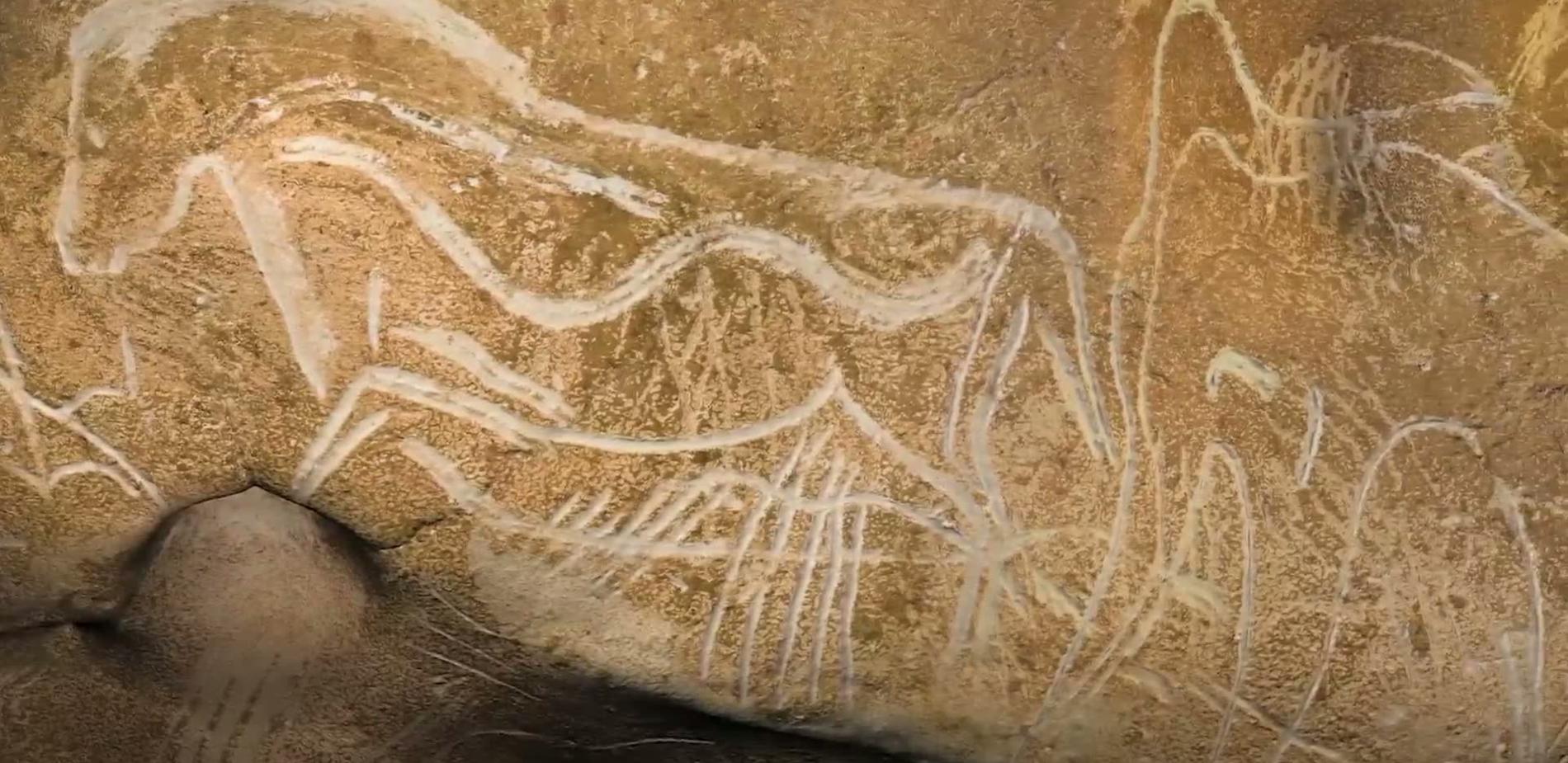 La grotte Chauvet révélée par la 3D