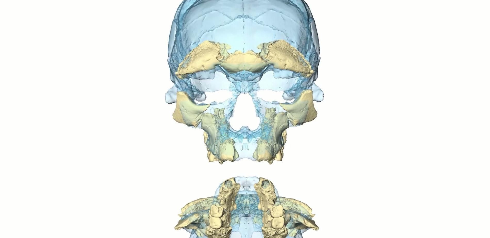 Jebel Irhoud : Homo sapiens a 300 000 ans