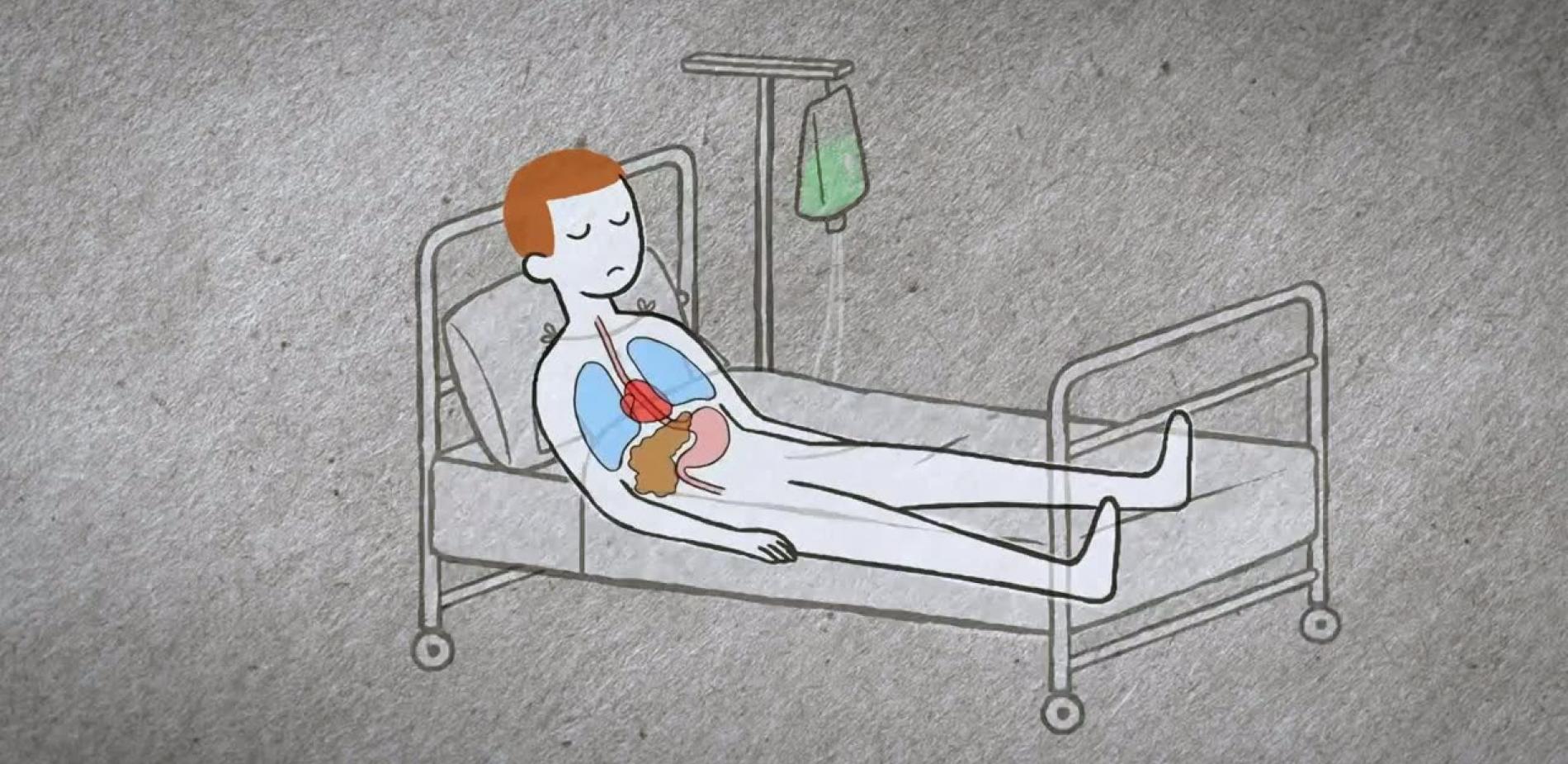 Comment l'Homme vieillit