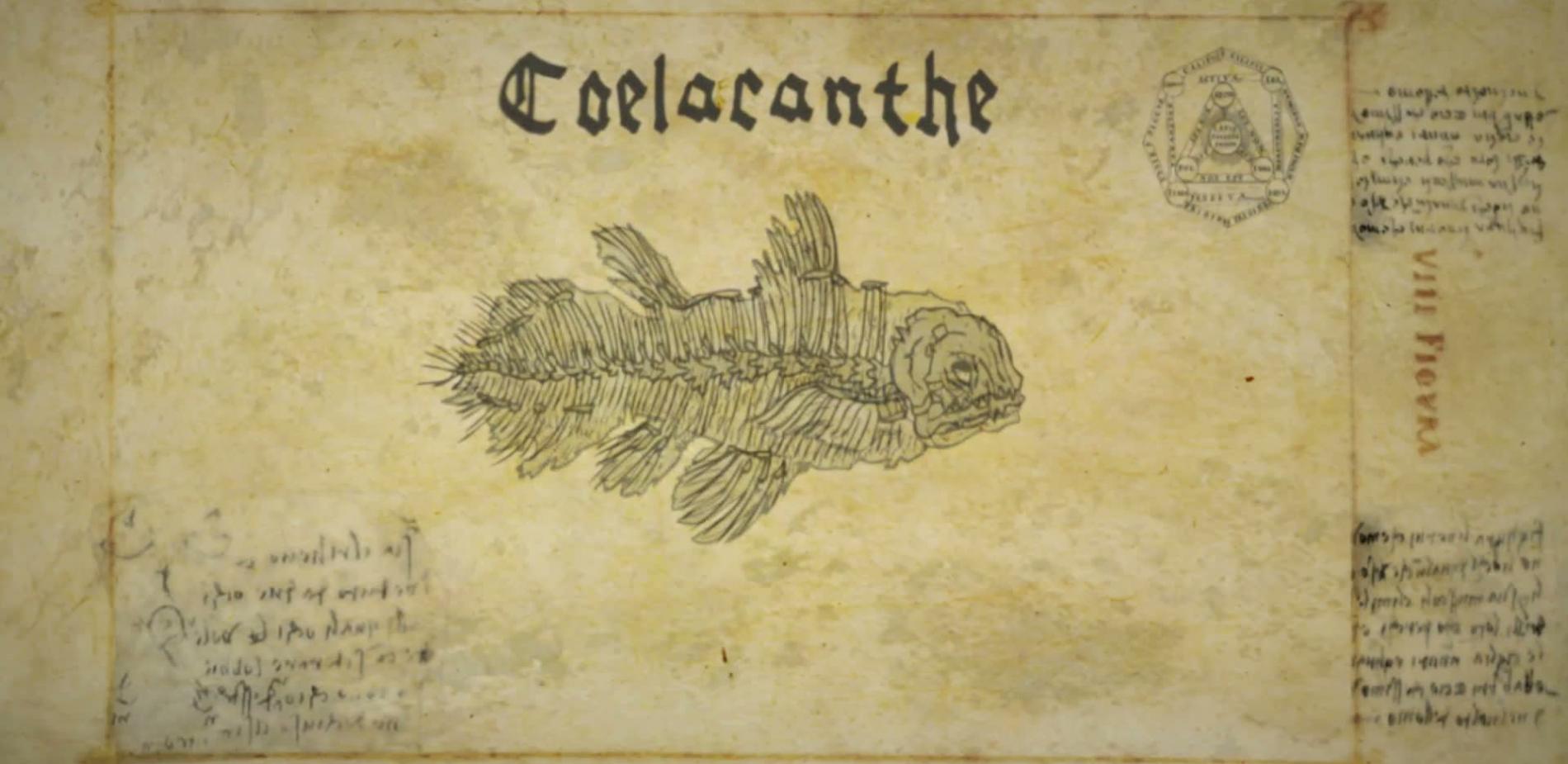 C comme clacanthe