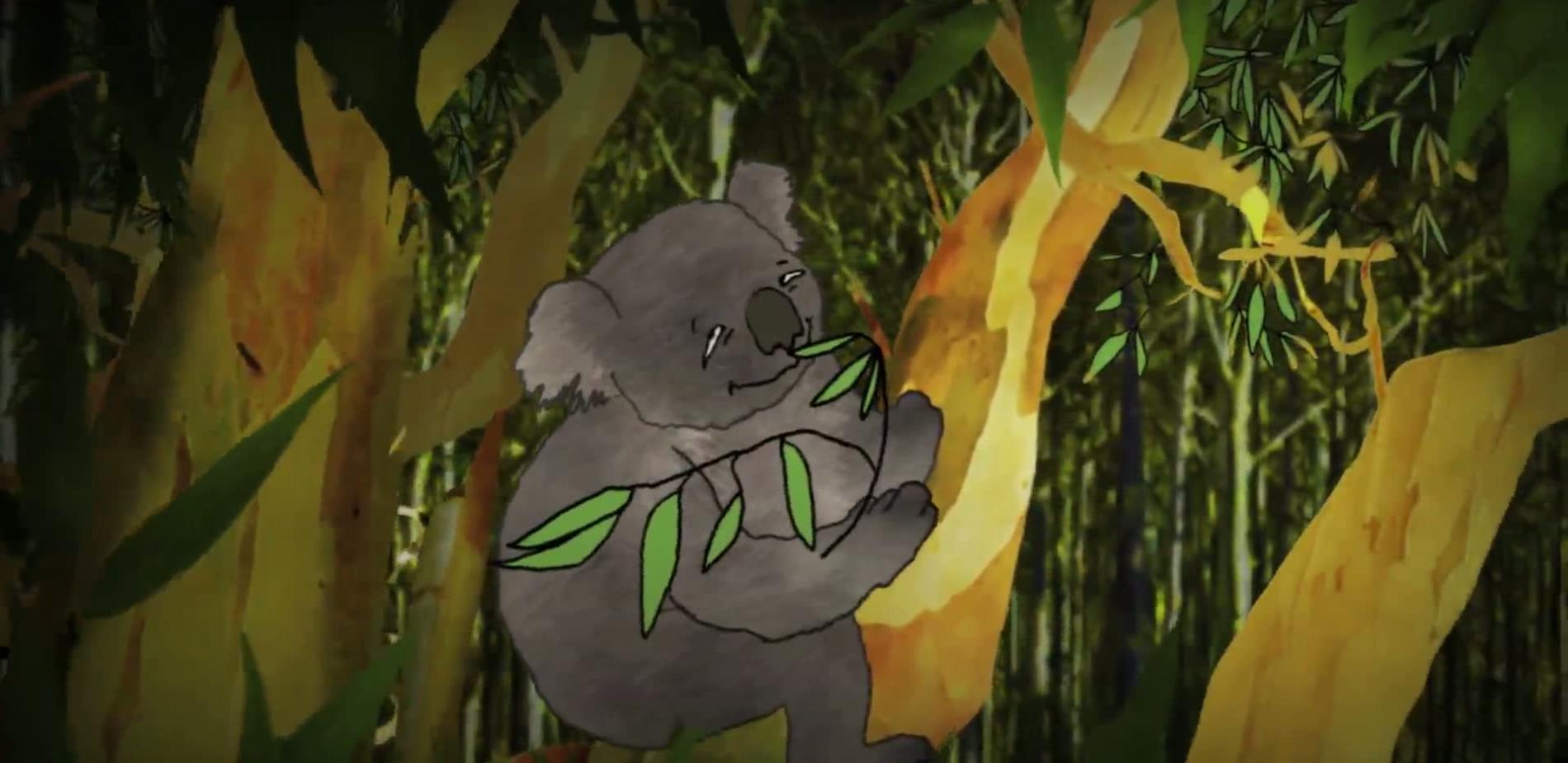 K comme koala