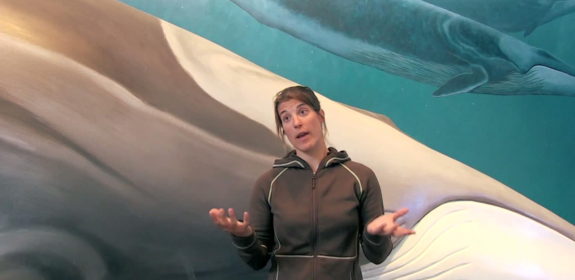 Sophie et les baleines