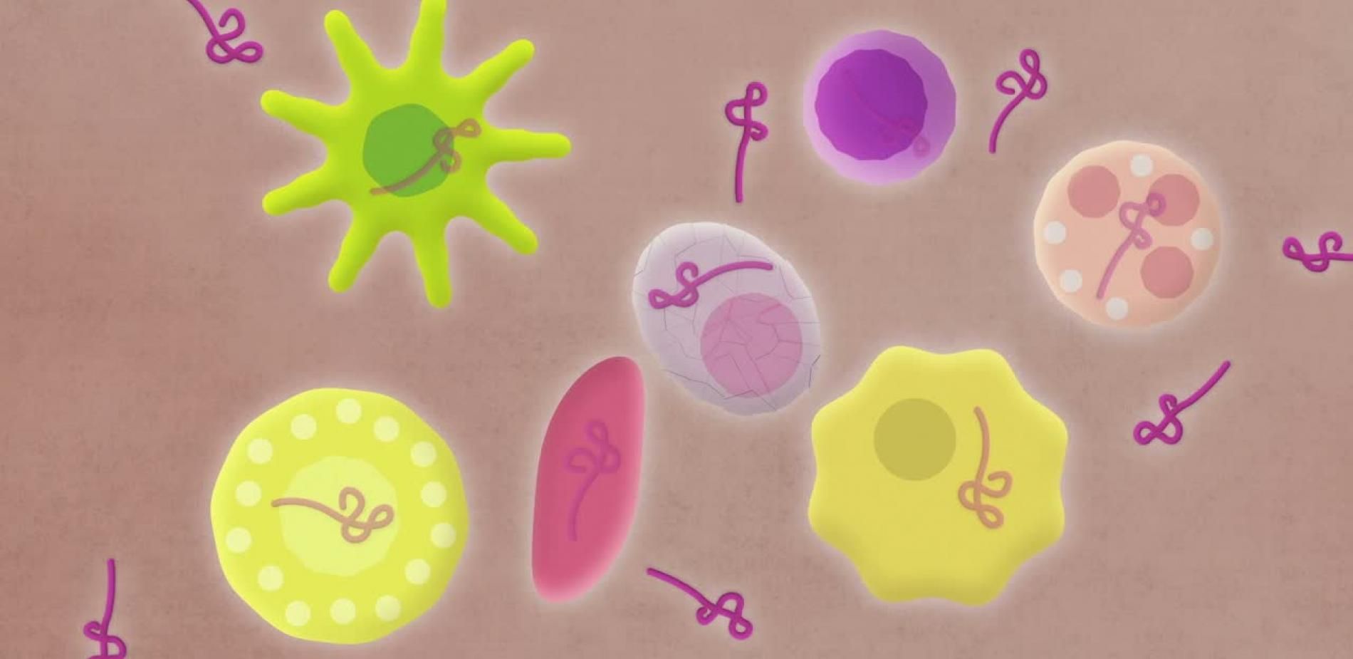 Ebola