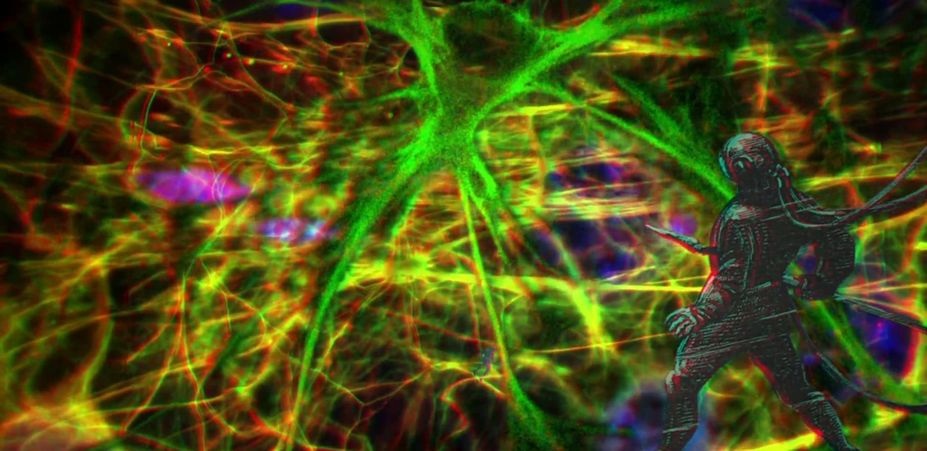 Cellules gliales, les étoiles dans la tête (Version 3D)