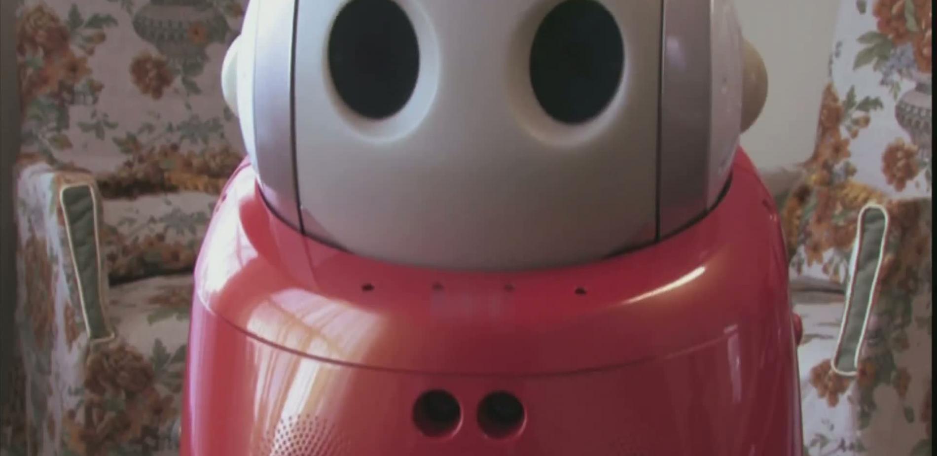 Le règne des robots compagnons