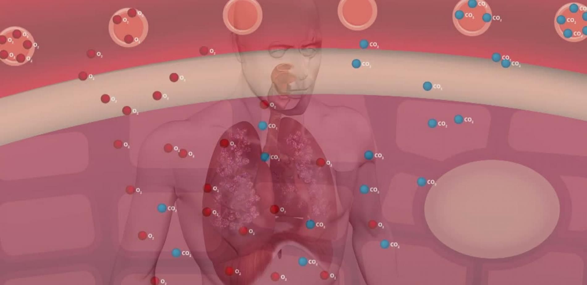 La respiration comme vous ne l'avez jamais vue