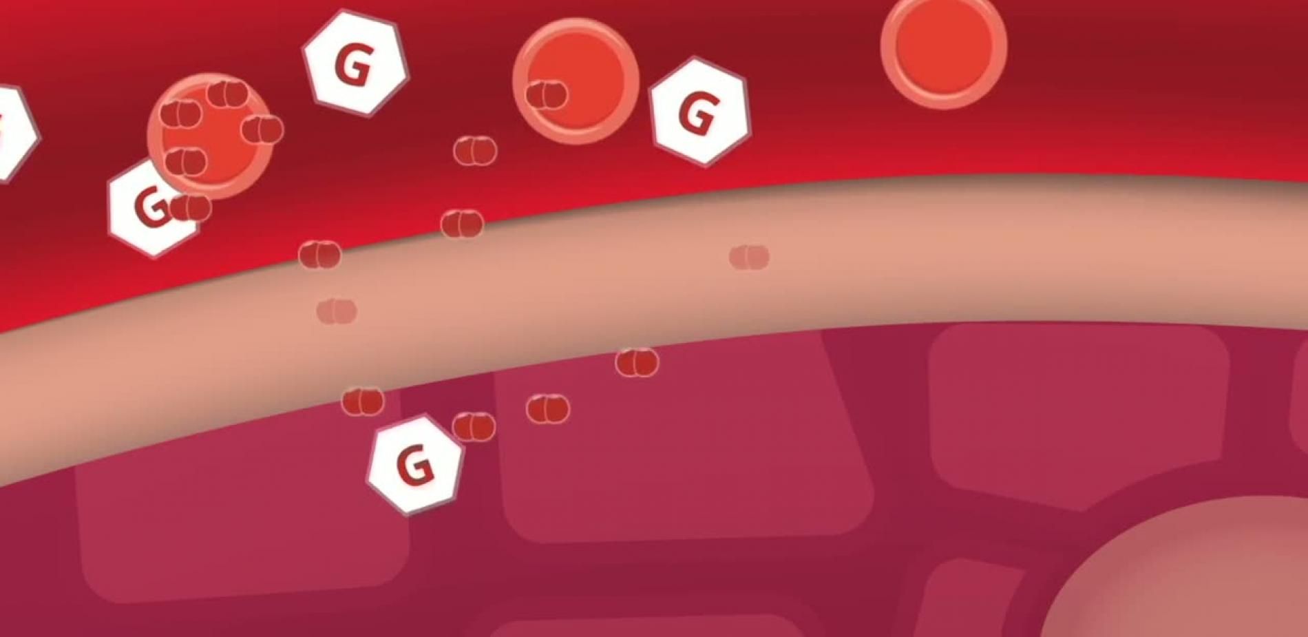 La respiration cellulaire comme vous ne l'avez jamais vue