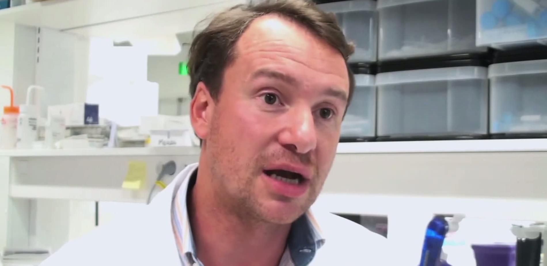 Cellules souches post mortem - Fabrice Chrétien